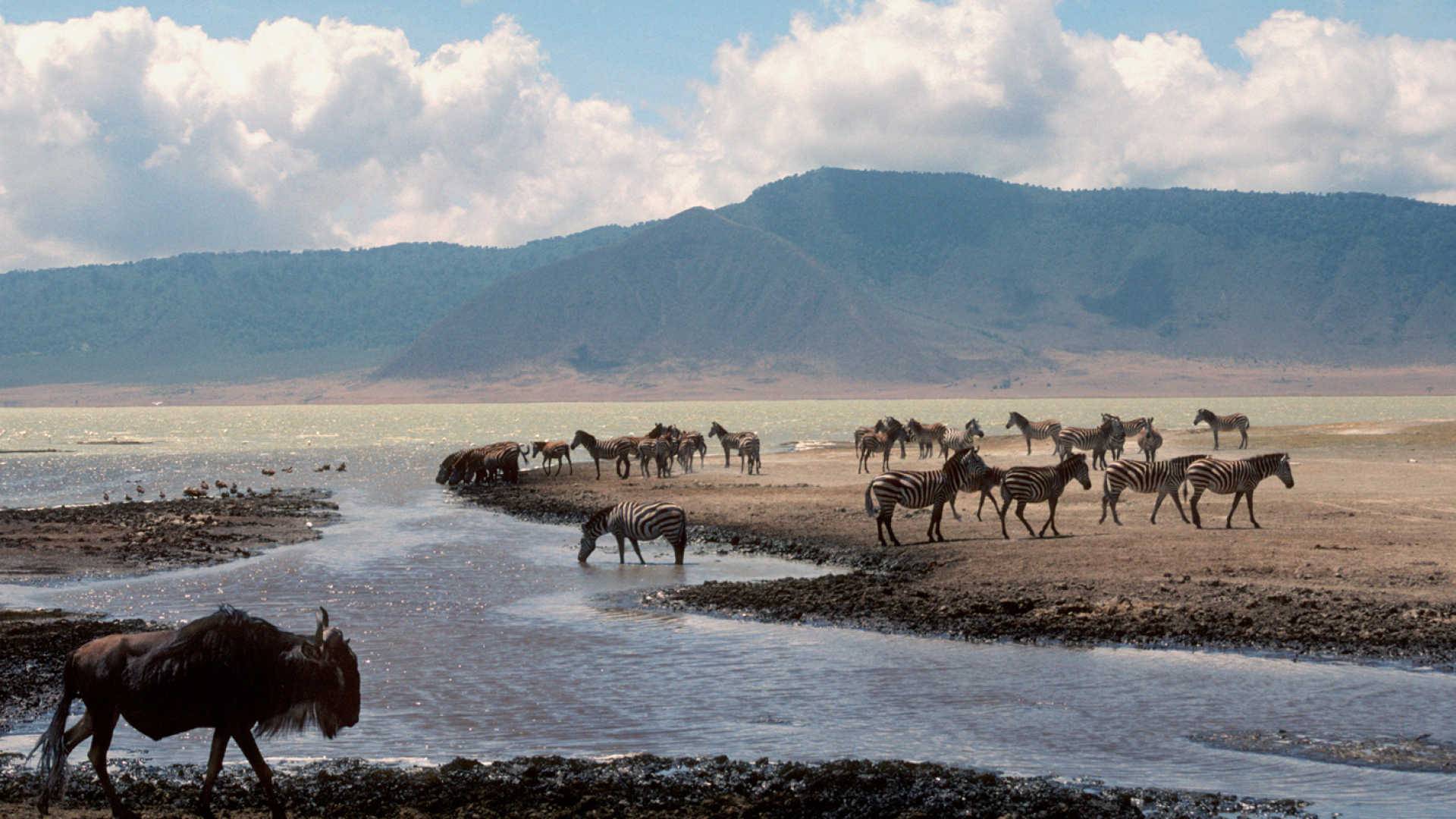 Serengeti and Ngorongoro safari landscape