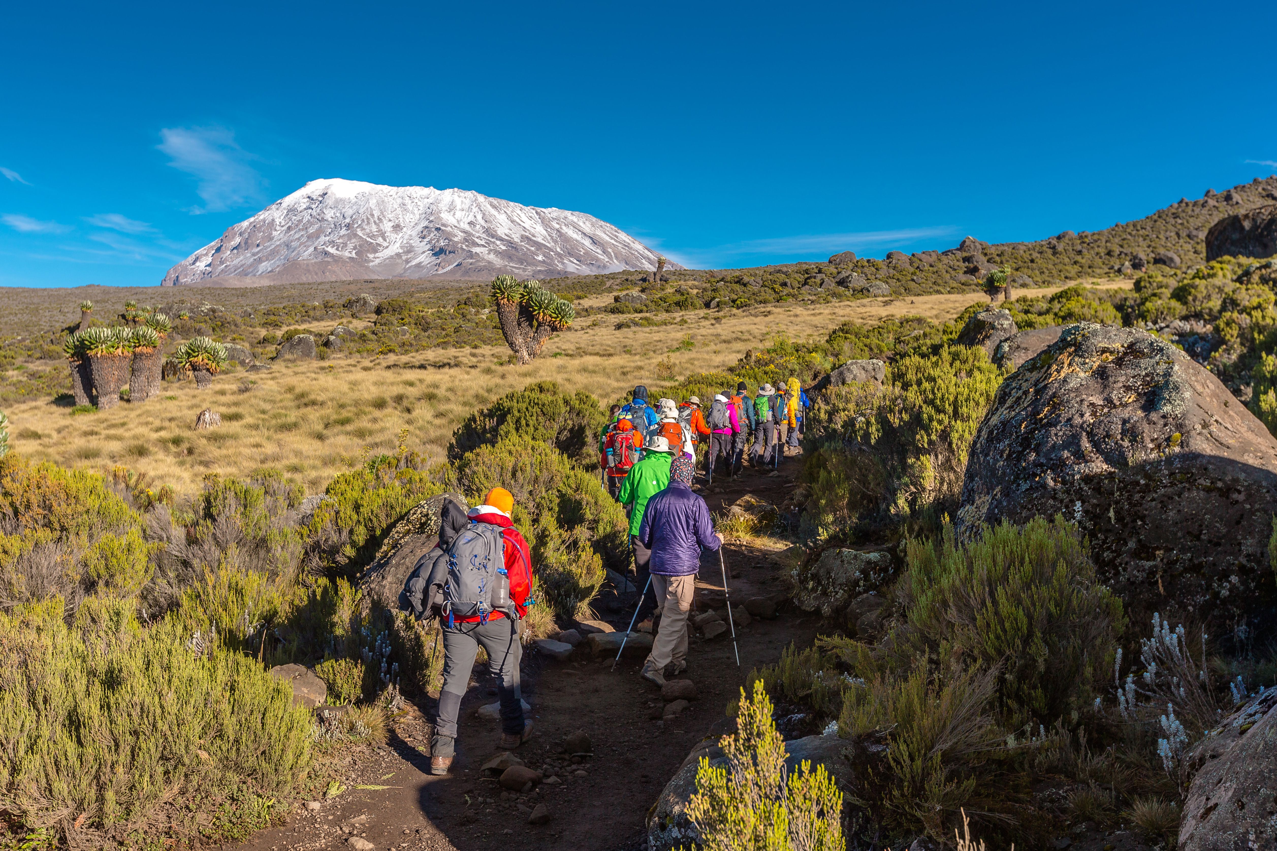 Mount Kilimanjaro